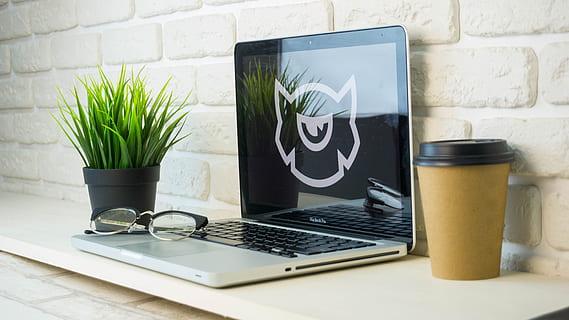 Tabelle, Laptop, Computer, Kaffee, zeitgemäß, Geschäft, Büro, Arbeitsplatz, Tasse, Technologie, kabellose Technologie, Verbindung, Kommunikation, Pflanze, Topfpflanze, Haushaltsausstattung, Essen und Trinken, drinnen, Natur, Zimmerpflanze, keine Leute, Internet, Getränk, Wandbau - Funktion, Möbel, Blumentopf, 5K