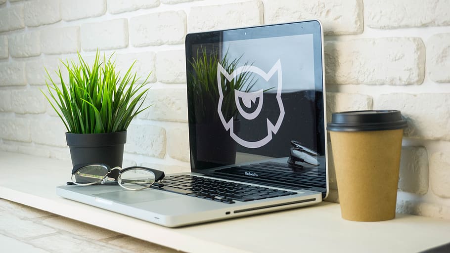 Tabelle, Laptop, Computer, Kaffee, zeitgemäß, Geschäft, Büro, Arbeitsplatz, Tasse, Technologie, kabellose Technologie, Verbindung, Kommunikation, Pflanze, Topfpflanze, Haushaltsausstattung, Essen und Trinken, drinnen, Natur, Zimmerpflanze, keine Leute, Internet, Getränk, Wandbau - Funktion, Möbel, Blumentopf, 5K