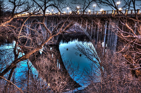 pont, nit, llums, reflexió, riu, nit, llums, arquitectura, estructura, arbre, naturalesa, hivern, branca, a l'aire lliure, blau, arbre nu, cap gent, pont - estructura feta per l'home, neu, aigua, estructura construïda, planta, connexió, cel, dia, exterior de l'edifici, 2K, CC0, domini públic, lliure de regalies