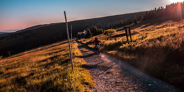 Person Motorradfahren, Weg, Person, Reiten, Motorrad, Schotterstraße, Grün, Gräser, Natur, Sonnenuntergang, Landschaft, draußen, ländliche Szene, szenen, Sonnenlicht, Schönheit in der Natur, Sonnenaufgang - Morgendämmerung, Himmel, Dämmerung, Nicht-städtische Szene, Sommer-, Sonne, keine Leute, Feld, Gras, Herbst, Wiese, ruhige Szene, Baum, Farbbild, Straße, der Weg nach vorn, Ruhe, Umgebung, Land, Berg, Szenen - Natur, Pflanze, Aktivität, Transport, Fußweg, Wald, Nadelbaum, Kiefernwald, Kiefer, 5K, CC0, gemeinfrei, lizenzfrei