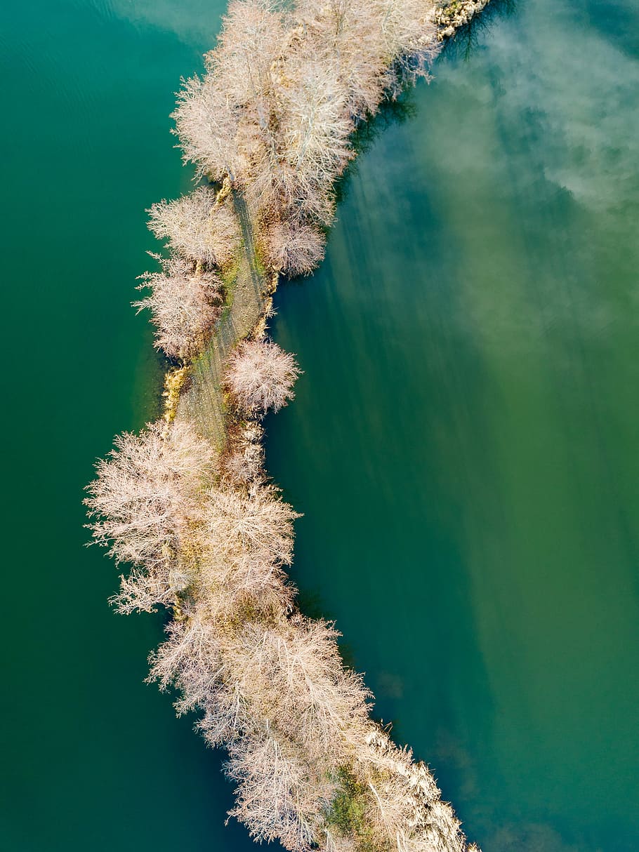 aèria, fotografia, carretera, envoltat, arbres, cos, aigua, rosa, arbre, calma, aigua del cos, Camí, passarel·la, drone, dia, ombra, estany, corba, línia, pont, a dalt, easton, pnw, Pacífic nord-oest, Washington, dji mavic pro, fotografia de drones, naturalesa, planta, cap gent, bellesa a la natura, llac, tranquil·litat, color verd, vista d’angle alt, creixement, a l'aire lliure, davant del mar, reflexió, escena tranquil·la, primer pla, llum solar, color turquesa, 4K