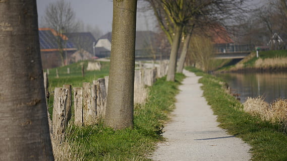 pryč, strom, log, krajina, přírodní, zelená, kůra, Příroda, rostlina, nikdo, den, zaměřit se na popředí, pěšina, růst, kufr, kmen stromu, plot, dřevo - materiál, voda, klid, bariéra, hranice, venku, přistát, tráva, 4K, CC0, veřejná doména, bez autorských práv