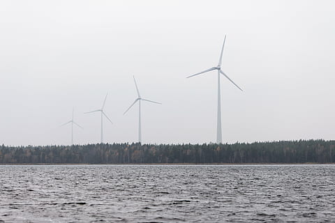 four, white, wind turbines, beside, trees, across, body, water photo, wind, turbines, near, water, windmill, plant, nature, sea, horizon, sky, wind turbine, wind power, alternative energy, environmental conservation, fuel and power generation, renewable energy, technology, sustainable resources, environment, turbine, environmental issues, electricity, power supply, industry, beauty in nature, no people, power in nature, 5K