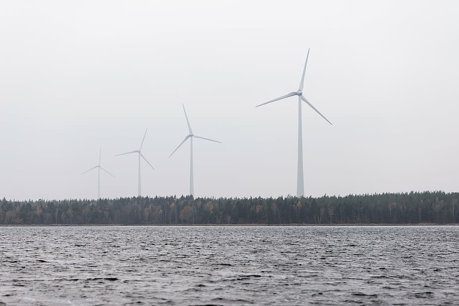quatre, blanc, aerogeneradors, al costat, arbres, a través de, cos, foto de l'aigua, vent, turbines, a prop, aigua, molí de vent, planta, naturalesa, mar, horitzó, cel, aerogenerador, energia eòlica, energia alternativa, conservació del medi ambient, generació de combustible i energia, energia renovable, tecnologia, recursos sostenibles, medi ambient, turbina, qüestions ambientals, electricitat, Font d'alimentació, indústria, bellesa a la natura, cap gent, poder a la natura, 5K