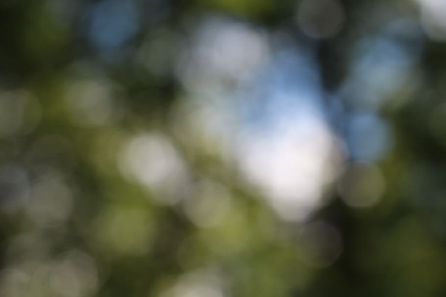 llum bokeh blanca, bokeh, borrosa, imatge de fons, verd, tacat, color, patró, fons, colorit, resum, fons de la pantalla, textura, curs, degradat, viu, brillant, full, defocated, planta, dia, creixement, bellesa a la natura, cap gent, naturalesa, color verd, llum solar, arbre, centrar-se en primer pla, a l'aire lliure, tranquil·litat, enfocament selectiu, primer pla, marc complet, frescor, còpia espai, fons abstractes, 5K