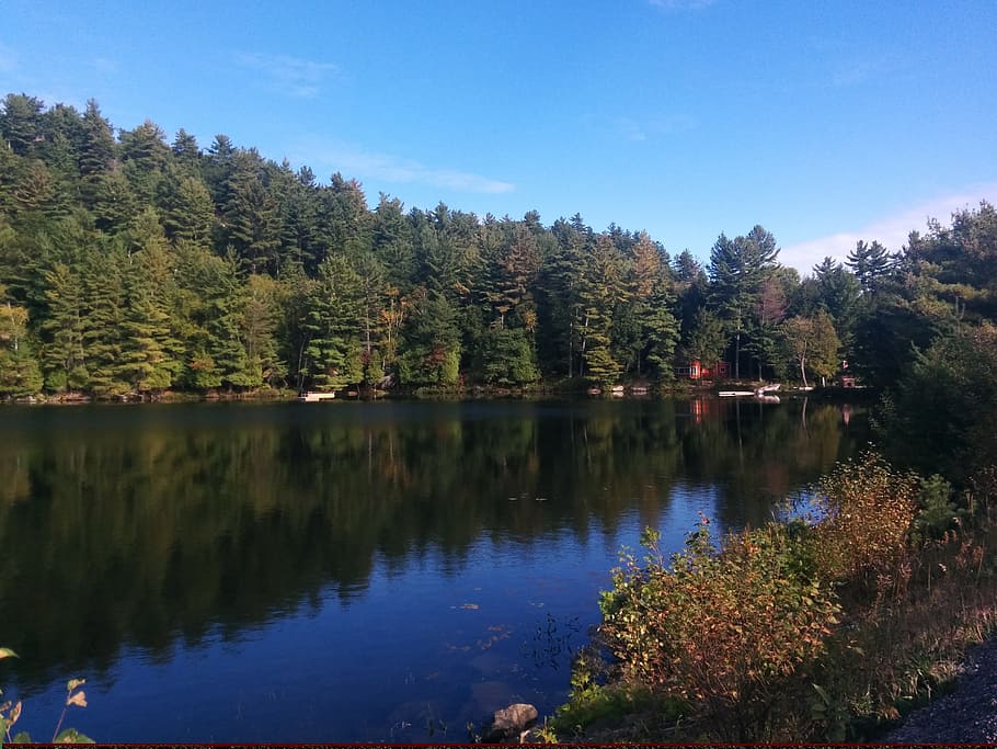 llac, reflexió de l’aigua, reflexió, tranquil, tardor, serè, a l'aire lliure, pacífica, naturalesa, naturalesa canadienne, llac vermell haliburton, parc, bosc, arbre, planta, aigua, bellesa a la natura, tranquil·litat, escena tranquil·la, cel, escenics - natura, creixement, dia, cap gent, escena no urbana, davant del mar, idíl·lic, canvi, arbre de coníferes, 2K