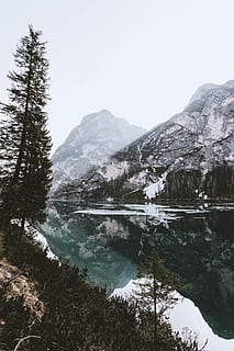 lago, montaña, adelante, arboles, siguiente, árbol, reflexión, luz del sol, sombra, pino, borde, dolomita, reflejado, verano, junto al lago, agua, cielo, paisajes - naturaleza, belleza en la naturaleza, tranquilidad, planta, escena tranquila, naturaleza, temperatura fría, día, invierno, escena no urbana, cordillera, nadie, nieve, al aire libre, Montaña cubierta de nieve, 5K, CC0, dominio público, libre de derechos