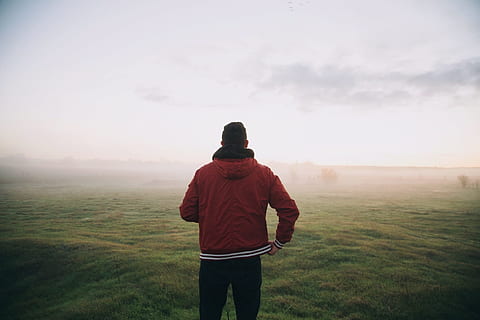 uomo, rosso, giacca a zip intera, verde, campo d'erba, nebbioso, giorno, tipo, giacca, cappuccio, erba, campo, cielo, nebbia, persone, retrovisore, una persona, terra, persone reali, tre quarti, ambiente, bellezza nella natura, in piedi, attività di svago, paesaggio, uomini, scenics - natura, abbigliamento casual, natura, stili di vita, scena non urbana, all'aperto, cappuccio - abbigliamento, guardando a vista, 1080P, CC0, dominio pubblico, privo di copyright