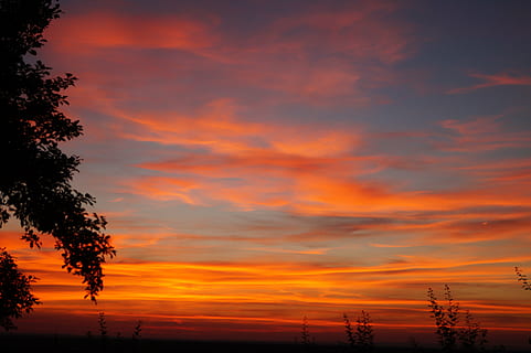 tramonto, albero, natura, sole, cielo, ovest, nuvole, luce, paesaggio, la neve, autunno, Paradiso, Stromovka, foreste, campo, scenario, blocchi stradali, ramo, vacanze, primavera, nuvola - cielo, bellezza nella natura, scenics - natura, colore arancione, la tranquillità, silhouette, scena tranquilla, pianta, nessuno, idilliaco, cielo drammatico, all'aperto, scena non urbana, Inquadratura dal basso, crepuscolo, cielo romantico, albero di conifere, 5K, CC0, dominio pubblico, privo di copyright