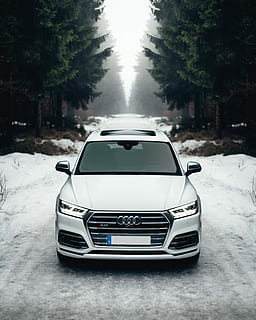 blanc, audi, a8, carretera, envoltat, arbres, cotxe audiovisual de plata, nevat, pins, cotxe, bosc, neu, Camí, centre, automòbil, manera de transport, transport, arbre, vehicle terrestre, planta, naturalesa, cap gent, dia, hivern, temperatura de fred, el camí a seguir, viatjar, Color blanc, a l'aire lliure, carrer, viatge de carretera, 2K, CC0, domini públic, lliure de regalies