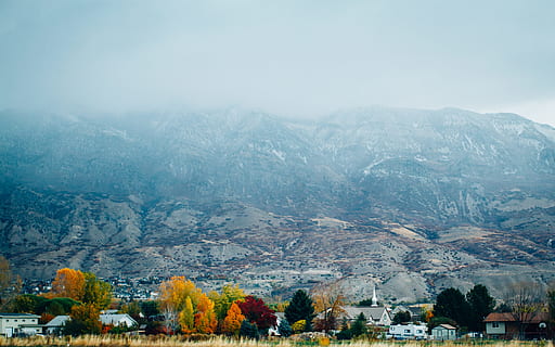 høy, trær, front, bergformasjon, bilde, brun, hvit, tåkete, fjell, skyet, himmel, svart og hvit, hvitt fjell, tre, Sky, topp, natur, scenics, landskap, utendørs, høyde, fjellkjede, ingen folk, tåke, dag, anlegg, naturskjønnhet - natur, miljø, skjønnhet i naturen, arkitektur, høst, bygget struktur, bygning, land, bygge eksteriør, ro, furutre, 4K, CC0, offentlig domene, opphavsrett gratis