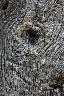 Olivenbaum, Holz, Muster, Hintergrund, schließen, Hintergründe, Vollbild, texturiert, Nahansicht, keine Leute, natürliches Muster, Holz - Material, Baum, Baumstamm, Kofferraum, geknotetes Holz, Rau, Natur, Tag, Holzmaserung, Pflanze, Borke, draußen, Struktureffekt, 2K, CC0, gemeinfrei, lizenzfrei