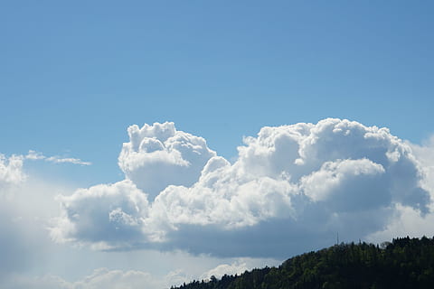 nuvole, cielo appannato, nubi cumuliformi, nuvola - cielo, cielo, bellezza nella natura, scenics - natura, natura, la tranquillità, blu, giorno, scena tranquilla, albero, copia spazio, nessuno, all'aperto, Colore bianco, idilliaco, Cloudscape, luce del sole, ambiente, sfondi, pianta, emozione positiva, meteorologia, sopra, 5K, CC0, dominio pubblico, privo di copyright