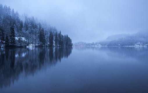 grå, havvann, ved siden av, trær felt, himmel, trær, rolig, kropp, vann, refleksjon, skog, tre, innsjø, natur, landskap, vinter, tåke, Sky, by, lang eksponering, skyet, skogen, hytte, bakgrunns, dyr, and, ro, naturskjønnhet - natur, rolig scene, skjønnhet i naturen, anlegg, ikke-urbane scene, idylliske, vannkanten, ingen folk, kaldtemperatur, utendørs, refleksjon innsjø, 5K, CC0, offentlig domene, opphavsrett gratis