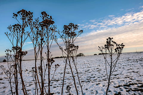 Winter, Wolken, Himmel, Landschaft, Wasser, keine Leute, Baum, Pflanze, Natur, Schönheit in der Natur, Ruhe, Meer, Szenen - Natur, wolke - himmel, Land, ruhige Szene, Tag, draußen, trocken, Strand, Nicht-städtische Szene, tote Pflanze, 4K, CC0, gemeinfrei, lizenzfrei