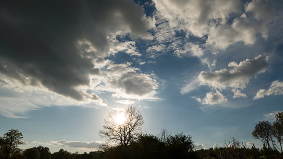skyer, hvid, himmel, blå, solen, dag, landskab, træ, glomerulus, vejr, udsigt, naturens skønhed, solskinsdag, sky - himmel, skønhed i naturen, plante, ingen mennesker, solstråle, scenics - natur, ro, natur, dramatisk himmel, cloudscape, sollys, lav vinkel visning, udendørs, silhuet, rolig scene, overskyet, solnedgang, trætop, meteorologi, 5K, CC0, offentligt domæne, royaltyfrie
