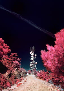 Straße, umgeben, Rosa, Bäume, Satellitenturm, grau, Turm, Baum, Antenne, industriell, Pfad, Pflanze, Natur, keine Leute, Schönheit in der Natur, Nacht-, Szenen - Natur, draußen, Wachstum, Himmel, Land, Ruhe, Nicht-städtische Szene, ruhige Szene, Umgebung, Reiseziele, Landschaft, beleuchtet, Reise, 2K, CC0, gemeinfrei, lizenzfrei