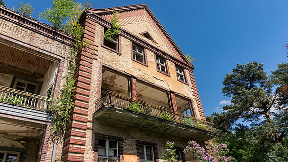 die Architektur, Gebäude, Fassade, Fenster, Balkon, verlassen, zerfallen, beenden, Gebäudehülle, gebaute Struktur, Pflanze, Flachwinkelansicht, Baum, Himmel, Natur, keine Leute, alt, klarer Himmel, Wohngegend, draußen, Haus, Tag, Geschichte, die Vergangenheit, Stadt, Backstein, klassischer Stil, Beton, 5K, CC0, gemeinfrei, lizenzfrei