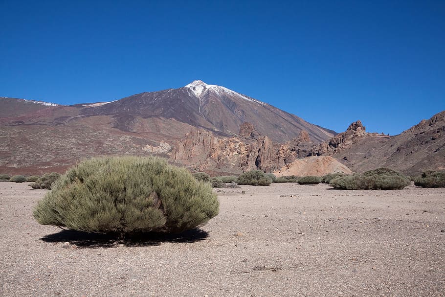 teide, volcà, muntanya, cim, pic del teide, teyde, Parc Nacional, tenerife, Illes Canàries, 3718 m, 3718 metres, 3718, neu, blau, blanc, verd, marró, lava, roca de lava, camps de lava, paisatge lunar, arbust, endèmica, escenics - natura, cel, paisatge, terra, medi ambient, naturalesa, desert, bellesa a la natura, cel clar, planta, cap gent, escena no urbana, dia, clima àrid, Serra, clima, arbre, assolellat, a l'aire lliure, semiàrid, 4K