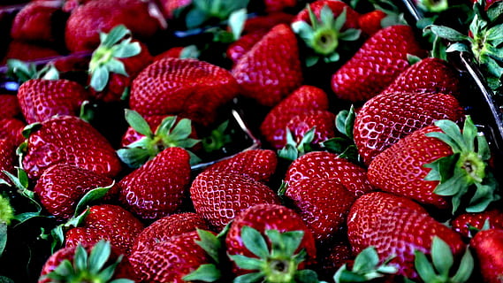 foto de maduixes, maduixa, vermell, macro, fruites de baies, alimentació saludable, fruita, menjar, menjar i beguda, frescor, benestar, primer pla, cap gent, gran grup d'objectes, marc complet, fons, abundància, enfocament selectiu, a l'interior, madur, natura morta, naturalesa, 4K, CC0, domini públic, lliure de regalies