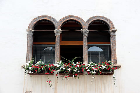 vindue, gammel, gammelt vindue, facade, historisk, forvitret, træ, glas, slå op, bygning, trævinduer, gammel by, vinduesrammer, åben, vinduesdekorationer, blomsterkasse, blomstrende plante, blomst, plante, arkitektur, bue, bygning udvendig, bygget struktur, ingen mennesker, dag, natur, potteplante, murbygningsfunktion, lav vinkel visning, vækst, udendørs, friskhed, skrøbelighed, boligområde, blomsterkrukke, vindues boks, vinduesramme, udsmykkede, 4K, CC0, offentligt domæne, royaltyfrie