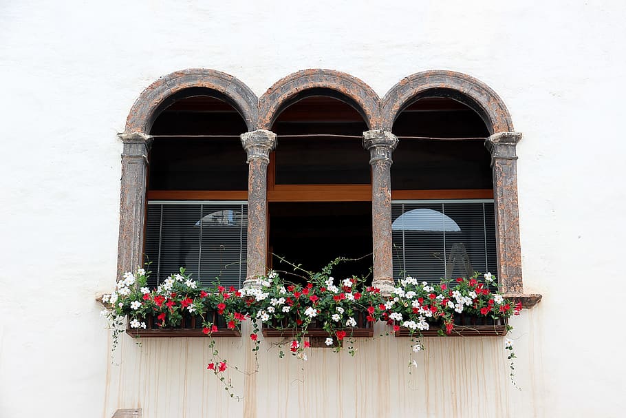 vindue, gammel, gammelt vindue, facade, historisk, forvitret, træ, glas, slå op, bygning, trævinduer, gammel by, vinduesrammer, åben, vinduesdekorationer, blomsterkasse, blomstrende plante, blomst, plante, arkitektur, bue, bygning udvendig, bygget struktur, ingen mennesker, dag, natur, potteplante, murbygningsfunktion, lav vinkel visning, vækst, udendørs, friskhed, skrøbelighed, boligområde, blomsterkrukke, vindues boks, vinduesramme, udsmykkede, 4K