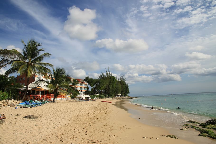 barbados, pláž, slunce, palma, písek, moře, nebe, mrak - nebe, přistát, voda, strom, tropické klima, náhodné osoby, krása v přírodě, rostlina, Příroda, scenics - příroda, den, Dovolená, výlet, klid, horizont nad vodou, venku, kokosová palma, 4K