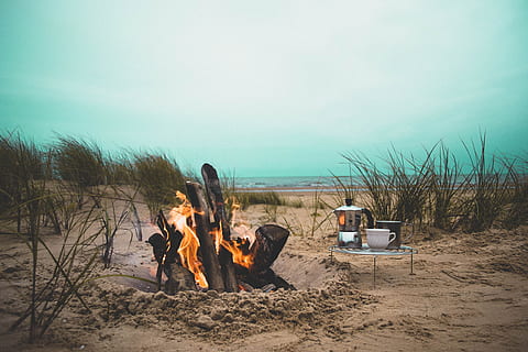 fireplace, cup, pitcher, desert, bonfire, beside, seashore, daytime, people, outdoors, beach, women, sand, camping, nature, vacations, men, heat - temperature, burning, land, fire, flame, fire - natural phenomenon, sky, campfire, environment, tree, firewood, log, landscape, 4K, CC0, public domain, royalty free