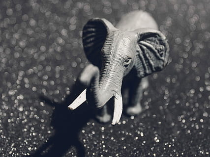 elefant, elefant figurine, legetøj, sprudlende, kulisse, et dyr, natur, dyreliv, en person, fuld længde, dyr i naturen, vand, by, indendørs, dyr kropsdel, bevægelse, selektiv fokusering, dag, gade, 2K, CC0, offentligt domæne, royaltyfrie