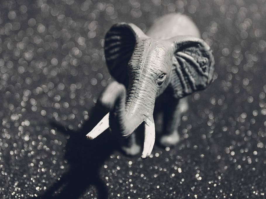 elefante, statuetta di elefante, giocattolo, scintillante, fondale, un animale, natura, fauna selvatica, una persona, lunghezza intera, animali allo stato selvatico, acqua, città, in casa, parte del corpo animale, movimento, messa a fuoco selettiva, giorno, strada, 2K