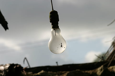 lightbulb, neglect, creativity, decaying, decay, deterioration, outdated, sky, focus on foreground, hanging, nature, close-up, no people, cloud - sky, animal themes, animal, vertebrate, outdoors, low angle view, animal wildlife, bird, day, water, animals in the wild, one animal, silhouette, 2K, CC0, public domain, royalty free