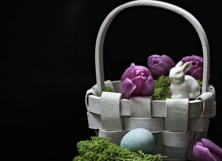 blanc, figureta de conill, decoració de cistella d'ous de Pasqua, conjunt, llebre, conill de Pasqua, Pasqua, primavera, figura, tulipes, porpra, tulipes morades, flors morades, cistella, osterkorb, Pasqua körbchen, decoració, ceràmica, decoració de pasqua, molsa, ou, blau, ous blaus, dekoeier, deco, Feliç Pasqua, salutació de pasqua, tema de pasqua, costums, invitació, estat de Pasqua, salutacions de pasqua, tradició, consum de primavera, mapa, targeta de felicitació, postal, salutació, flors, fons negre, tir de l'estudi, cap gent, frescor, flor, a l'interior, alimentació saludable, primer pla, dia, planta, contenidor, naturalesa, planta amb flors, celebració, color rosa, multicolor, color verd, còpia espai, festa, Caixa, natura morta, 4K, CC0, domini públic, lliure de regalies
