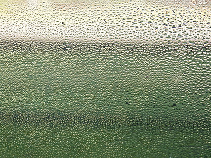 finestra, pluja, gota de pluja, degoteig, humit, vidre, perles, aigua, gota d’aigua, disc, gotes de pluja, humor, humitat, mal temps, borrosa, estructura, fons, marc complet, vidre - material, textura, patró, primer pla, cap gent, tirar, transparent, a l'interior, color verd, condensació, naturalesa, resum, temporada de pluges, fons abstractes, efecte texturat, 4K, CC0, domini públic, lliure de regalies