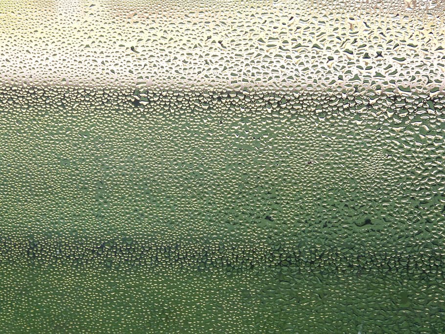 finestra, pluja, gota de pluja, degoteig, humit, vidre, perles, aigua, gota d’aigua, disc, gotes de pluja, humor, humitat, mal temps, borrosa, estructura, fons, marc complet, vidre - material, textura, patró, primer pla, cap gent, tirar, transparent, a l'interior, color verd, condensació, naturalesa, resum, temporada de pluges, fons abstractes, efecte texturat, 4K