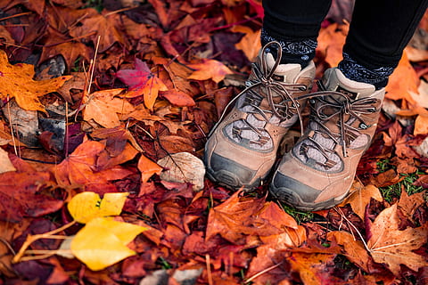 Paar, braun, Wandern, Schuhe, Orange, Boden, Stiefel, Füße, fallen, Herbst, rot, Blatt, Fuß, Abenteuer, Baum, Schuh, niedriger Abschnitt, Pflanzenteil, menschliches Körperteil, Natur, Veränderung, menschliches Bein, Lebensstile, Blätter, trocken, eine Person, Tag, draußen, Freizeitbeschäftigung, Körperteil, orange Farbe, Land, menschliches Glied, Gliedmaßen, menschlicher Fuß, Leder, 5K, CC0, gemeinfrei, lizenzfrei