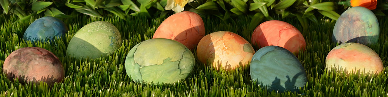 Foto, Eier in verschiedenen Farben, Ostereier, Ostern, Ei, Dekoration, Osterdekoration, Frohe Ostern, bunt, bunte Eier, Farbe, Osterdekorationen, gemalt, Brauch, Gras, eilen, Osterei, Banner, Header, Ostergrüße, Kopfbild, Osterfeier, Frühling, mehrfarbig, Eier, Jahreszeit, Natur, grüne Farbe, Panorama-, Pflanze, keine Leute, Nahansicht, Essen und Trinken, Lebensmittel, Frische, Tag, in einer Reihe, gesundes Essen, Land, Wachstum, draußen, Feld, Gruppe von Objekten, Gemüse, 5K, CC0, gemeinfrei, lizenzfrei