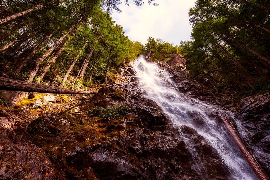 vesiputous, ryöpytä, metsä, Puut, woods, rock, virta, luonto, ulkona, maa, maaseudun, maisema, kauneus luonnossa, maisemat - luonto, puu, vesi, liike, kasvi, vankka, rock - esine, pitkä altistus, virtaava vesi, ei ihmisiä, ei-kaupunkikuvia, hämärtynyt liike, kasvu, voimaa luonnossa, virtaava, putoava vesi, sademetsä, 1080P