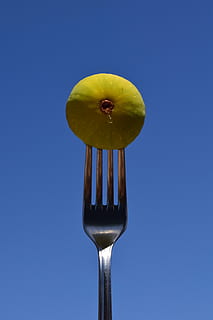 Feige, Gabel, Essen, schließen, Metallgabel, Besteck, Grün, Blau, gesundes Essen, Obst, Essen und Trinken, Lebensmittel, Küchenutensilien, Essgeschirr, Frische, Wohlbefinden, keine Leute, Stillleben, Nahansicht, Löffel, Scheibe, drinnen, Gelb, kopieren sie platz, Studioaufnahme, ausgeschnitten, Blauer Hintergrund, reif, Versuchung, 5K, CC0, gemeinfrei, lizenzfrei