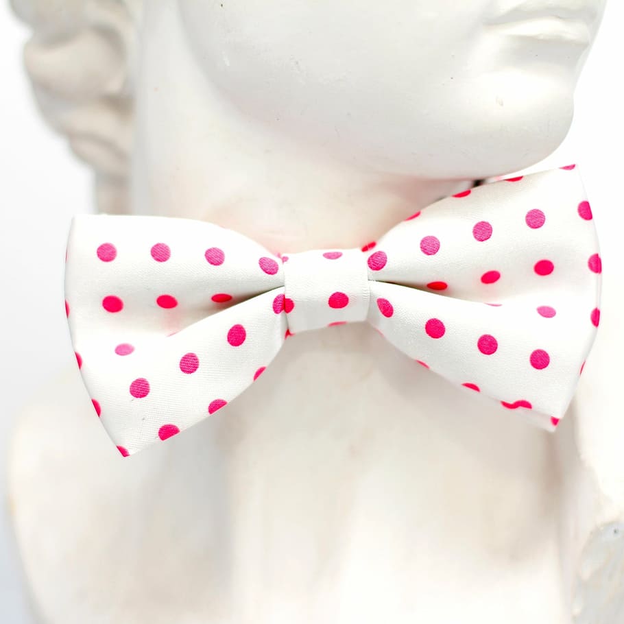rosa, bianca, punti, volare, cravatta, ciclo continuo, moda, uomo, profilo, mostra manichino, bambole, alla moda, antico, completo da uomo, colore rosa, in casa, a pois, macchiato, avvicinamento, modello, parte del corpo umano, Colore bianco, sfondo bianco, parte del corpo, donne, una persona, natura morta, concentrarsi sulle conoscenze acquisite, girato in studio, Sezione centrale, 1080P