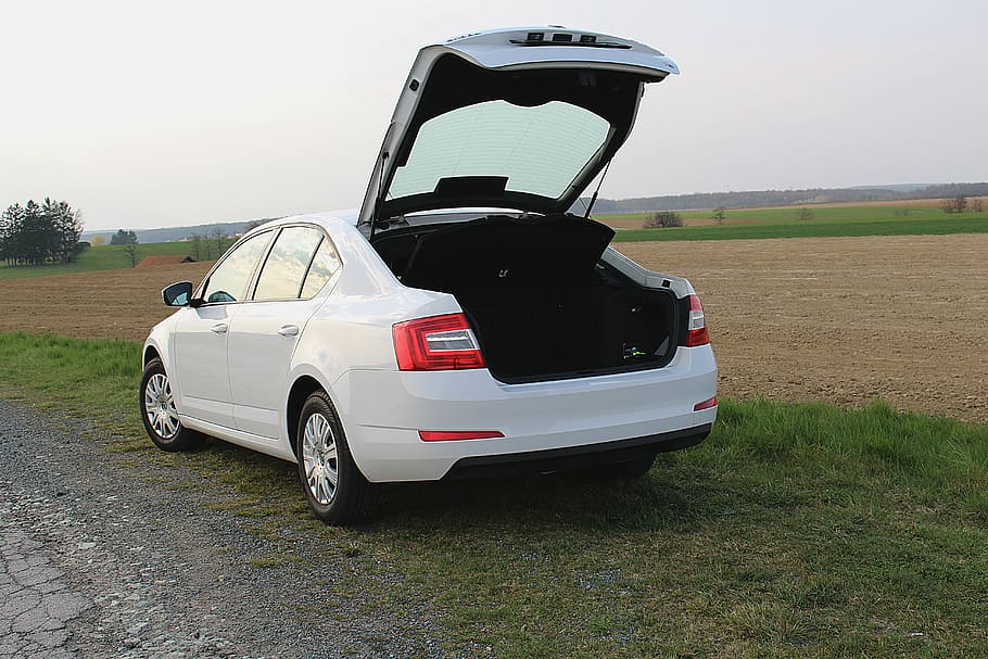 automàtic, tronc, obert, skoda, oktavia, transport, manera de transport, naturalesa, cotxe, automòbil, vehicle terrestre, cel, dia, una persona, viatjar, herba, paisatge, protecció, carretera, medi ambient, a l'aire lliure, seguretat, Llei, conduir, govern, 5K