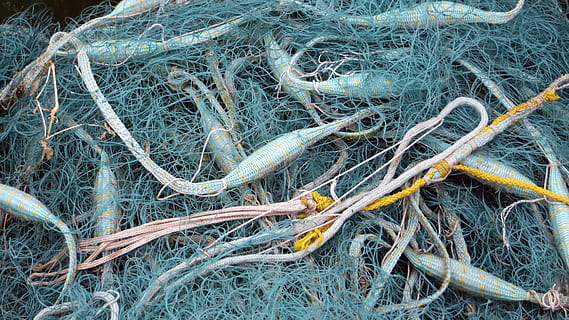 žvejybos tinklas, žuvis, dirbti, tinklą, fischer, fang, jūrininkystė, dieną, nėra žmonių, sudėtingumą, aukšto kampo vaizdas, augalų, pobūdį, žemės, žvejyba, žvejybos pramonė, lauke, susivėlęs, fonas, visą kadrą, Iš arti, šakelė, strypas, jėga, šaknis, 4K, CC0, Viešasis domenas, nemokamai