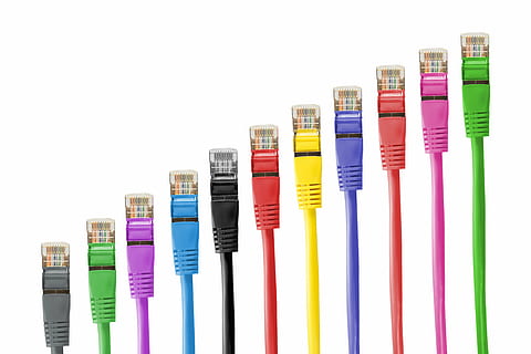 assorted-color ethernet cable lot, network cables, line, network connector, cable, patch, patch cable, rj, rj45, rj-45, network, fs, data processing, connection, plug, lan, lan cable, pair, data, technology, business, studio shot, indoors, white background, multi colored, choice, variation, currency, close-up, in a row, no people, large group of objects, finance, copy space, wealth, still life, abundance, cut out, paper currency, side by side, economy, 5K, CC0, public domain, royalty free