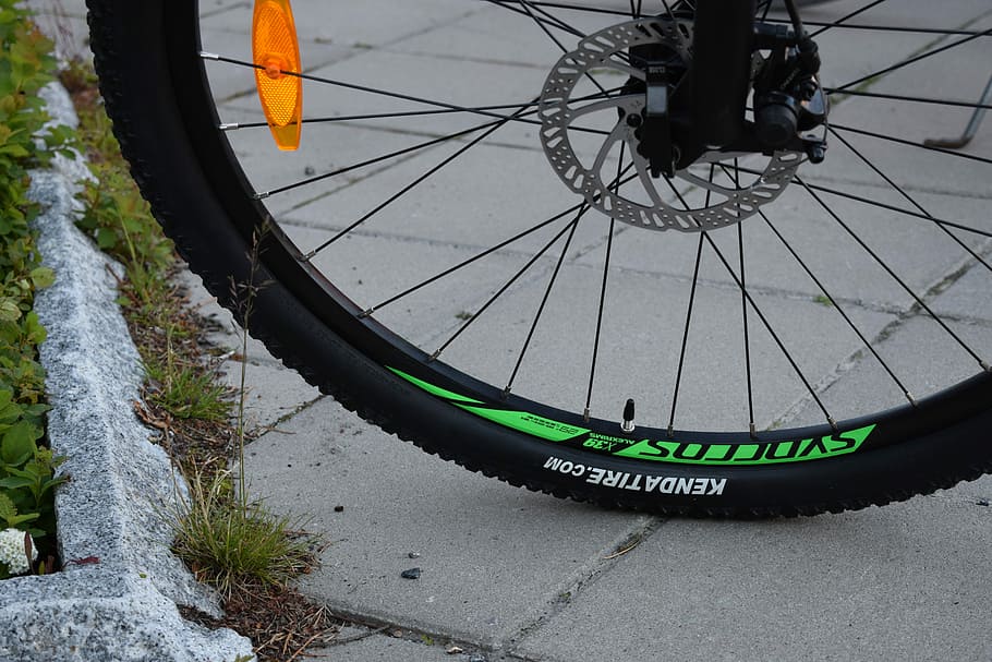 cyklus, hjul, fortov, eger, cykler, cykelhjul, grøn, cykel, transportmidler, vand, talte, ingen mennesker, dag, transportform, tekst, natur, udendørs, vestlige script, dæk, høj vinkel visning, tæt på, skilt, gade, land køretøj, meddelelse, 5K