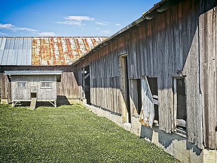 Scheune, rustikal, Scheunen, Ohio, digitale Kunst, ländlich, szenisch, Land, Landschaft, Schuppen, wirft, Bauernhof, Bauernhöfe, Landwirtschaft, landwirtschaftlich, Bauernhaus, champaign, Bezirk, Americana, Foto, fotografieren, Struktur, Strukturen, sturgell, William Sturgell, bill sturgell, historisch, Wohnkultur, corral, Gebäude, Silo, Wolken, Himmel, Baum, Bäume, wolkig, Unkraut, Champaign County, Urbana, gebaute Struktur, die Architektur, Gebäudehülle, Natur, Tag, Gras, Pflanze, keine Leute, Haus, Sonnenlicht, landwirtschaftliches Gebäude, Feld, Holz - Material, wolke - himmel, draußen, grüne Farbe, 4K, CC0, gemeinfrei, lizenzfrei