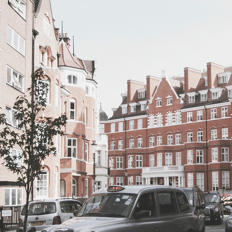 rosso a Londra., Marrone, bianca, calcestruzzo, costruzione, paesaggio urbano, complesso immobiliare, albero, auto, recinto, modo di trasporto, veicolo a motore, architettura, esterno dell'edificio, struttura costruita, mezzi di trasporto, città, cielo, veicolo terrestre, giorno, finestra, quartiere residenziale, Inquadratura dal basso, nessuno, natura, cielo sereno, all'aperto, di fila, appartamento, casa a schiera, 2K