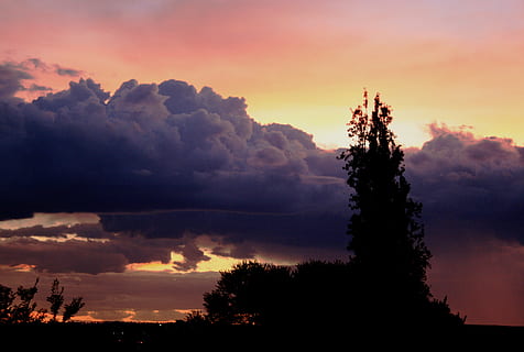 Sonnenuntergang, Wolken, Wolkenbank, lila, weiße Ränder, errötende Sonnenuntergangsfarben, glühen, schimmerndes Licht, dunkler Horizont, Baum Silhouette, Himmel, wolke - himmel, Baum, Schönheit in der Natur, Silhouette, Pflanze, Szenen - Natur, ruhige Szene, Ruhe, orange Farbe, Natur, keine Leute, Dramatischer Himmel, Wachstum, Flachwinkelansicht, draußen, idyllisch, Nicht-städtische Szene, Nadelbaum, romantischer Himmel, 2K, CC0, gemeinfrei, lizenzfrei