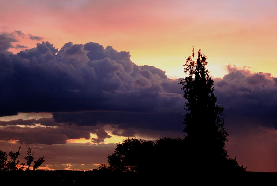 solnedgang, skyer, cloudbank, lilla, hvide kanter, rødme solnedgang farver, glød, glitrende lys, mørk horisont, træ silhuet, himmel, sky - himmel, træ, skønhed i naturen, silhuet, plante, scenics - natur, rolig scene, ro, orange farve, natur, ingen mennesker, dramatisk himmel, vækst, lav vinkel visning, udendørs, idyllisk, ikke-urbane scene, nåletræ, romantisk himmel, 2K
