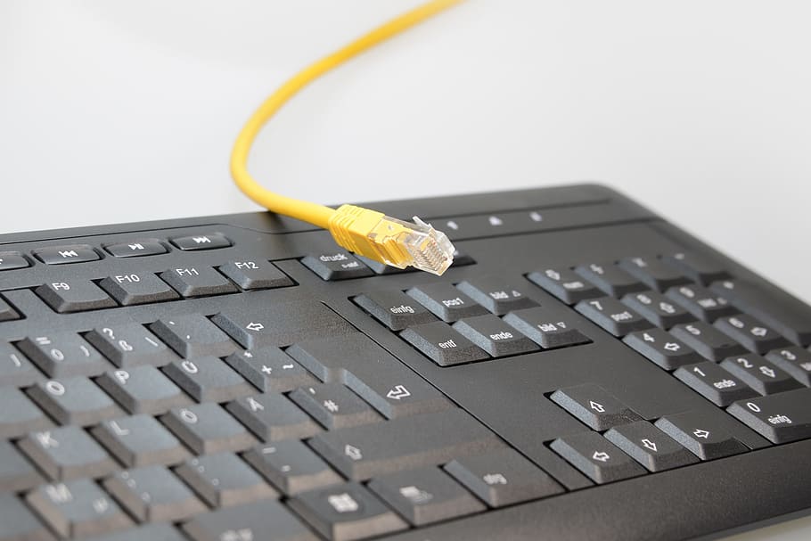 groc, cable utp, negre, maquinari, cable de connexió, teclat, ordinador, claus, Dispositiu d'entrada, periferia, lletres, entrada, cable, rj-45, endoll, barra d’espai, edp, processament de dades, connexió, fs, línia, tecnologia, portàtil, teclat d’ordinador, Internet, comunicació, ordinadors, equipament, primer pla, PC, dades, endoll de connexió de xarxa, cable d’ordinador, PC d'escriptori, xarxa d’ordinadors, tecnologia sense fils, equips informàtics, part de l’ordinador, cap gent, a l'interior, equipament elèctric, comunicacions globals, amb cable, bloc de connexió, 2K