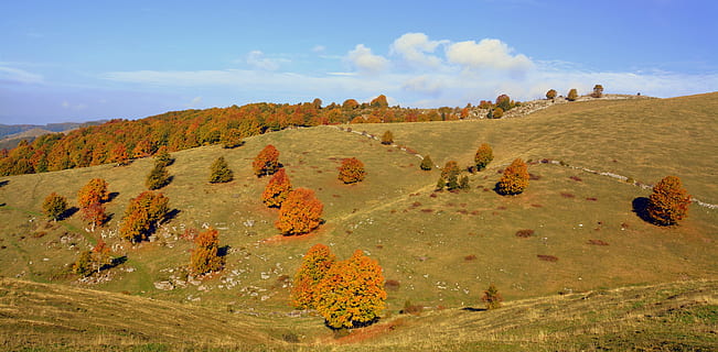 udflugt, træer, efterår, bjerg, den europæiske vej, e5, Lessinia, Italien, landskab, himmel, miljø, scenics - natur, jord, natur, plante, sky - himmel, skønhed i naturen, ingen mennesker, rejse, halvtørre, rejsemål, ikke-urbane scene, multi farvet, dag, ro, rolig scene, udendørs, 5K, CC0, offentligt domæne, royaltyfrie