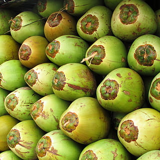 kokosové ořechy, ovoce, kokos, semínko, zelená, opilec, tropický, exotický, shiggaon, Indie, zásobník, trh, jídlo a pití, jídlo, Zdravé stravování, zelená barva, svěžest, blahobyt, velká skupina objektů, na prodej, pozadí, nikdo, mango ovoce, celý rám, hojnost, stání na trhu, tropické ovoce, stálý život, maloobchodní, den, zralý, 2K, CC0, veřejná doména, bez autorských práv